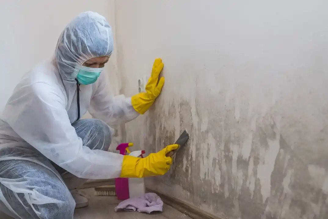 water damage restoration service Wagener Terrace